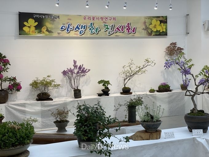 ‘제19회 우리꽃야생화 봄전시회’