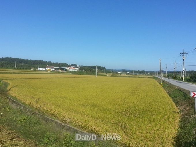상주_두릉들판