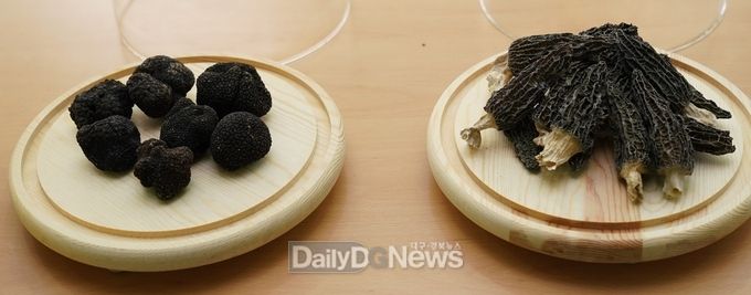 경상북도 제공) (6-3)(좌)송로버섯_(우)곰보버섯