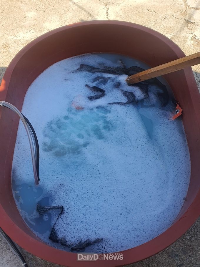 영양군농업기술센터 벼 종자소독 영농지도 강화