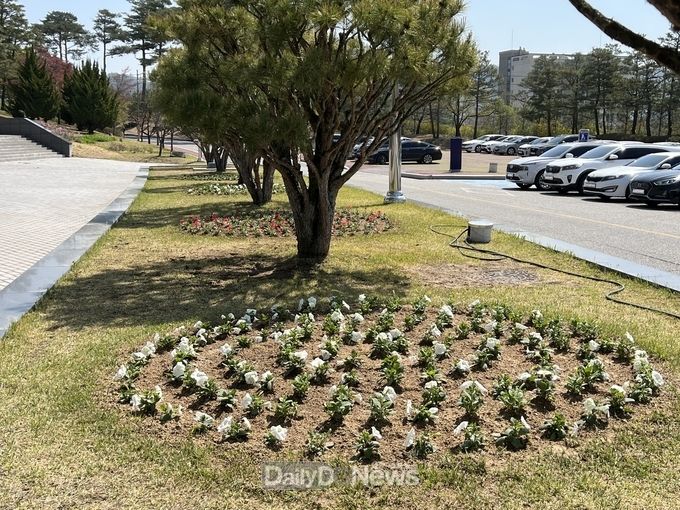 봉화군, 청사 내 봄맞이 봄꽃 식재