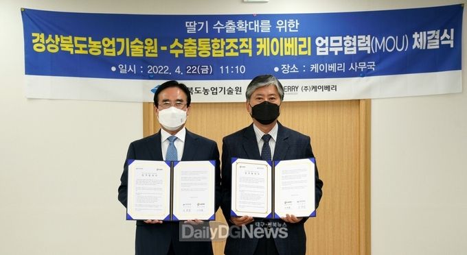 농업기술원, 케이베리와 경북 딸기 수출육성 업무협약 체결