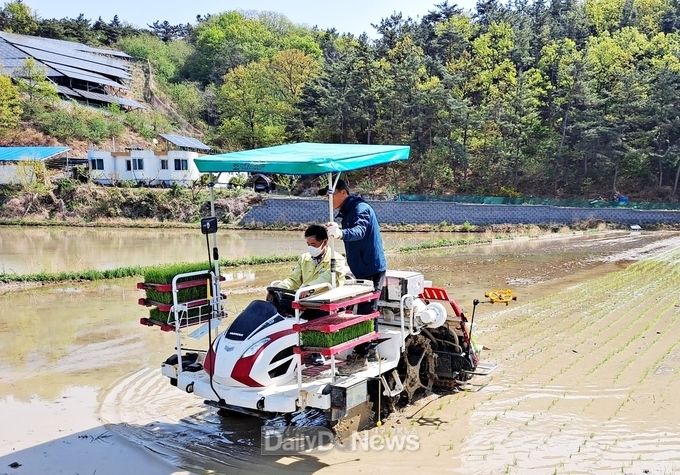 북안면 효리 첫 모내기 시연