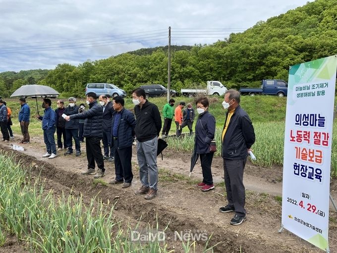 의성군, 의성마늘 노동력 절감 기술보급 위한 현장교육 실시