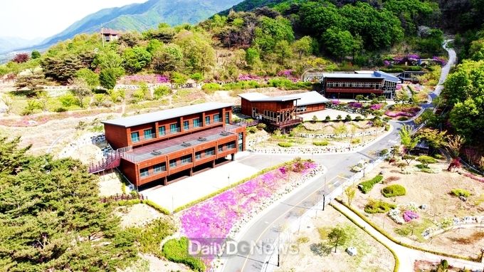 보현산자연휴양림 전경