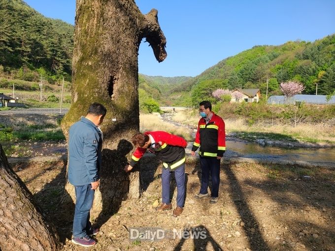  홍석표 봉화부군수(가운데)가 마을숲 현장을 둘러보면서 주변 환경을 점검하고 있다