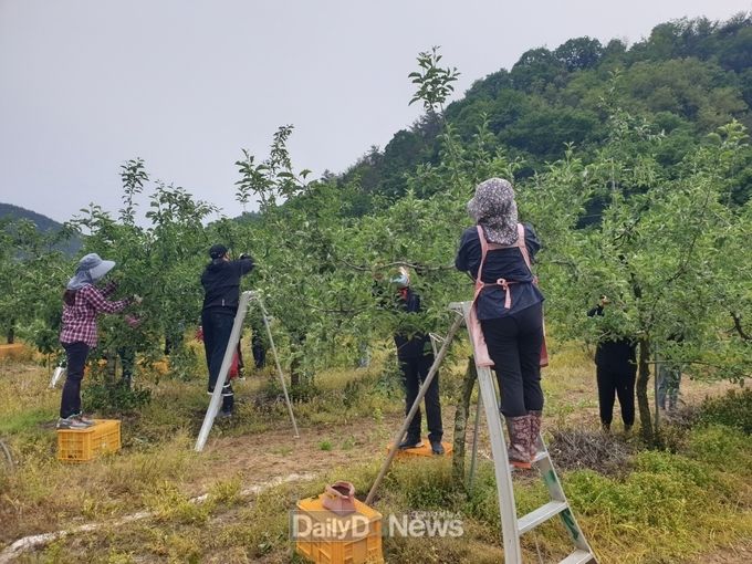 예천군, 봄철 농번기 농촌일손돕기 적극 나서