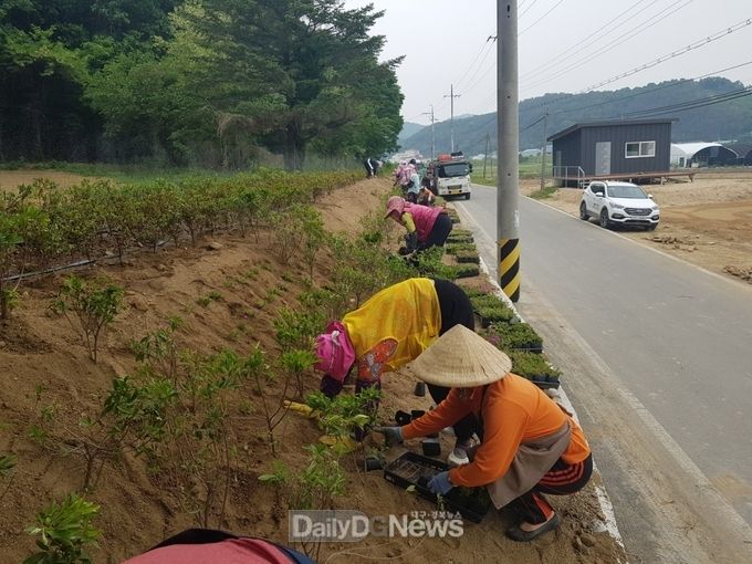 대가야읍, <img alt="" src="//www.dailydgnews.com/data/photos/20220519/art_16524264840341_1cecac.png" xtype="photo"> 아름다운 마을 가꾸기 추진