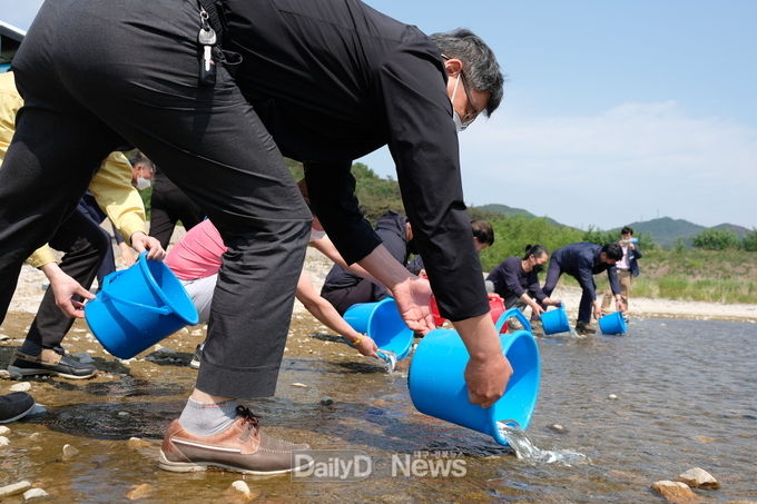 영덕군, 내수면 자원조성을 위해 황금은어 방류
