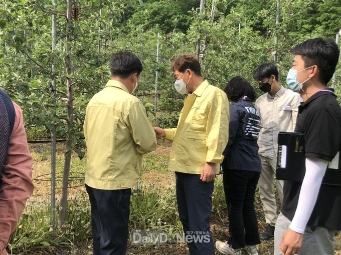 홍석표 봉화 부군수, 석포면 우박 피해 현장 방문