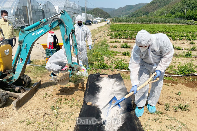 청송군, 과수화상병 발생대비 모의훈련 가져