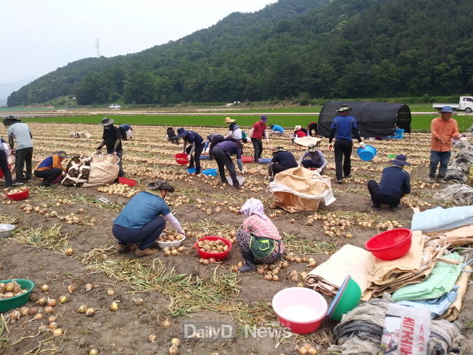 문경시 공무원, 농촌일손돕기 구슬땀