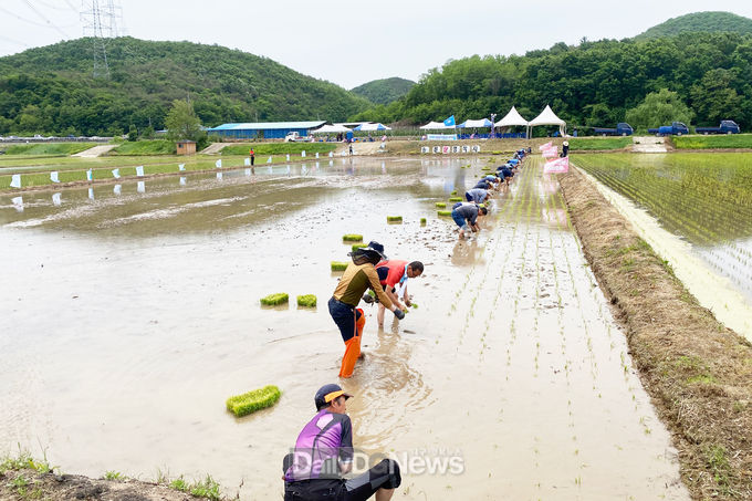청송군 농민회, 풍년기원제 및 통일쌀 손모내기 행사 개최