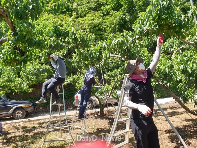 영덕군 농촌지원과