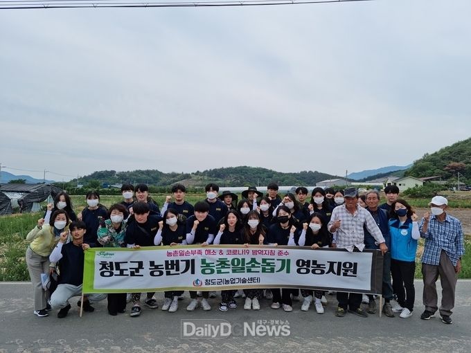 가톨릭대학생들 청도군에서 농촌일손돕기 봉사