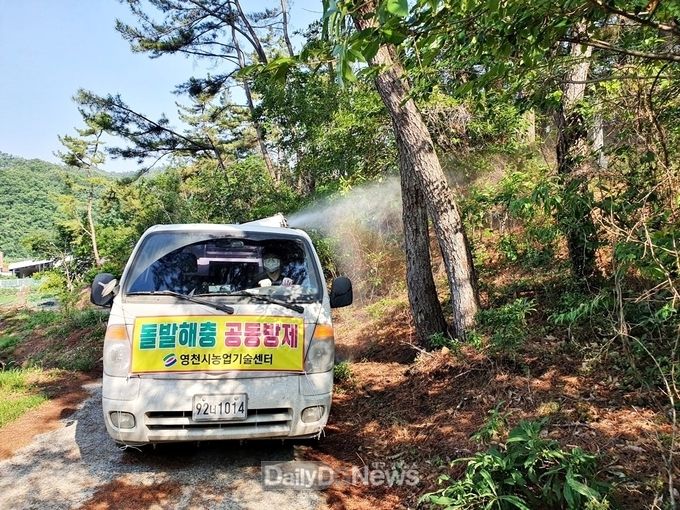영천시) 돌발해충 확산 방지 공동방제 사진