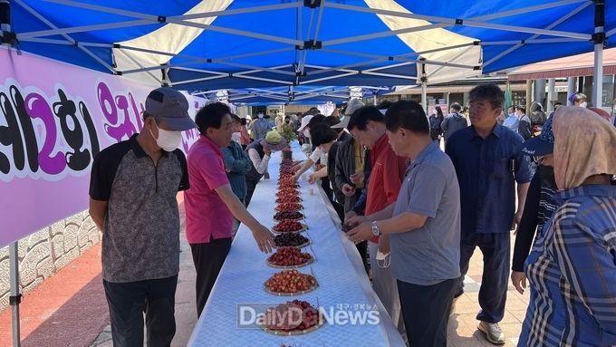 체리품평회