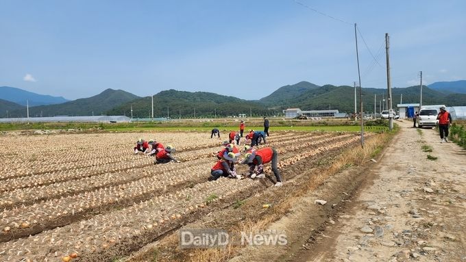한국건강관리협회, 자매결연마을 농촌일손돕기 나서