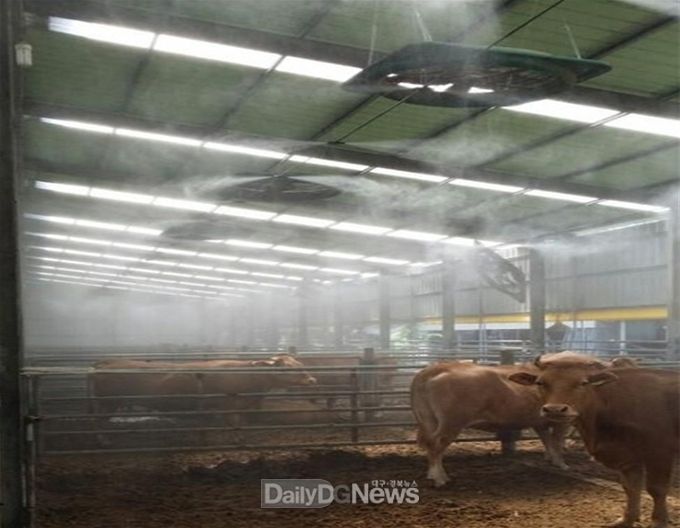 예천군, 축산농가 폭염 피해 대응 강화