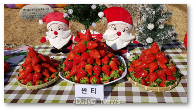 경상북도 제공