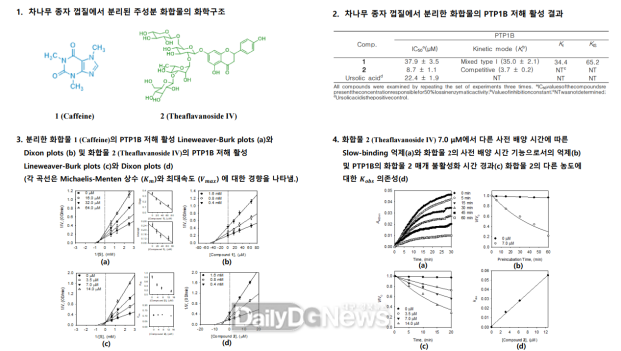차나무 종자 껍질 추출물에서 분리한 화합물의 생리활성 연구 결과