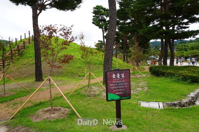 친환경 그늘길 조성을 위해 늘솔길에 심겨진 홍단풍