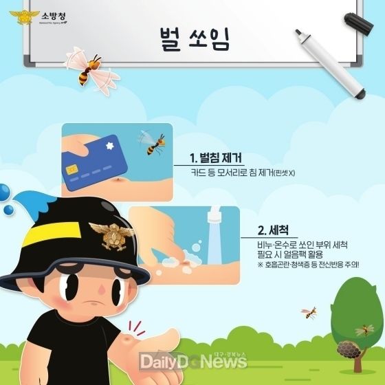 경북소방, 여름철 야외 활동시 벌 쏘임 주의 당부