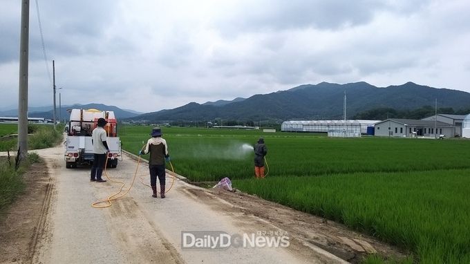 구미시, 벼 도열병 조기방제 당부