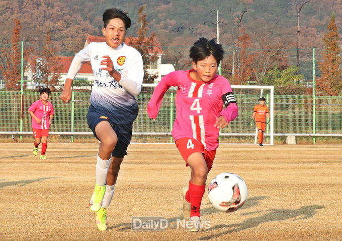 2022 화랑대기 전국유소년축구대회 다음달 3일 개최
