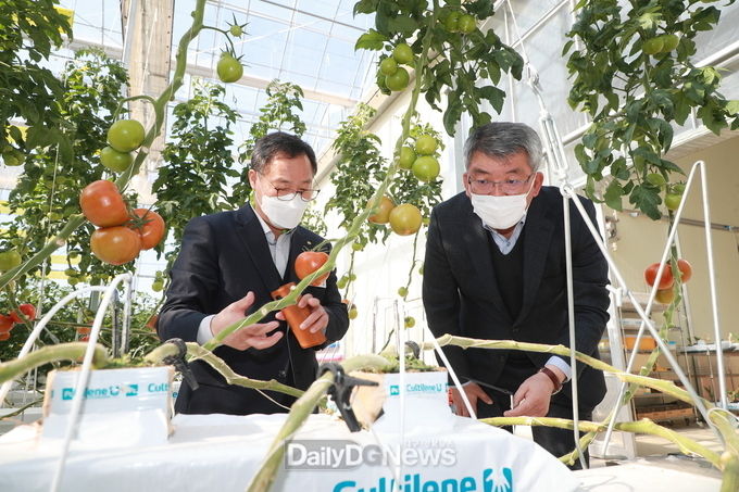 스마트팜 시범재배(농업기술센터