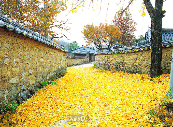성주_한개마을