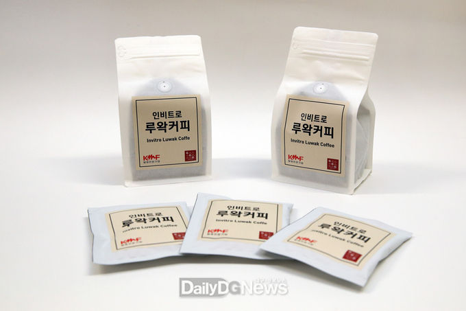 계명대 식품가공학과 정용진 교수가 졸업생들과 함께 국내외 최초로 재현에 성공한 인비트로 루왁커피. (사진=계명대 제공)
