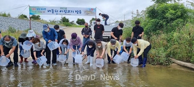 _버들치_치어_방류사진