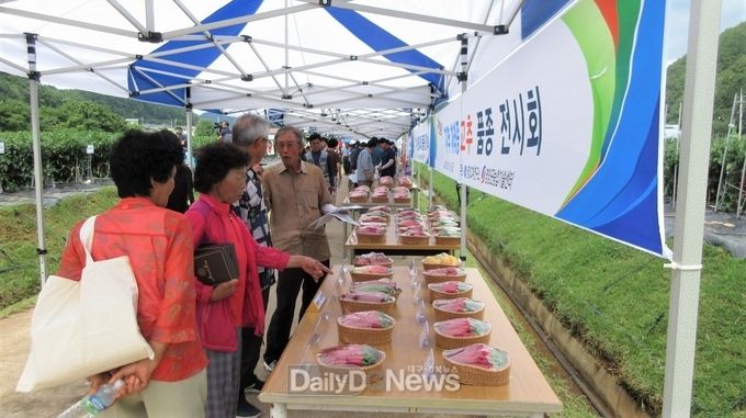 경상북도 제공) 2021년_고추품평회_사진