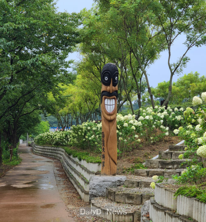 성주군 초전면, 백천변 운하소공원 탐스러운‘여름 수국’만발