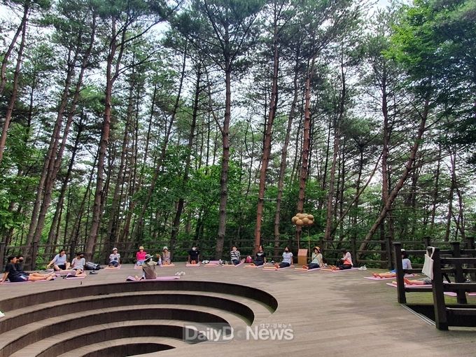 성주가야산 웰니스 프로그램“숲에서 몸쉼맘쉼”운영