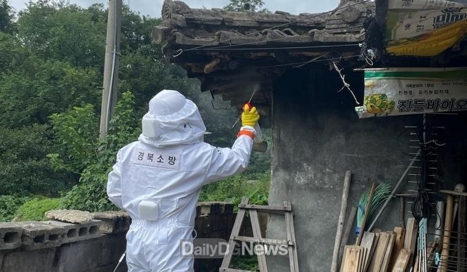 경북소방본부 벌집제거 장면