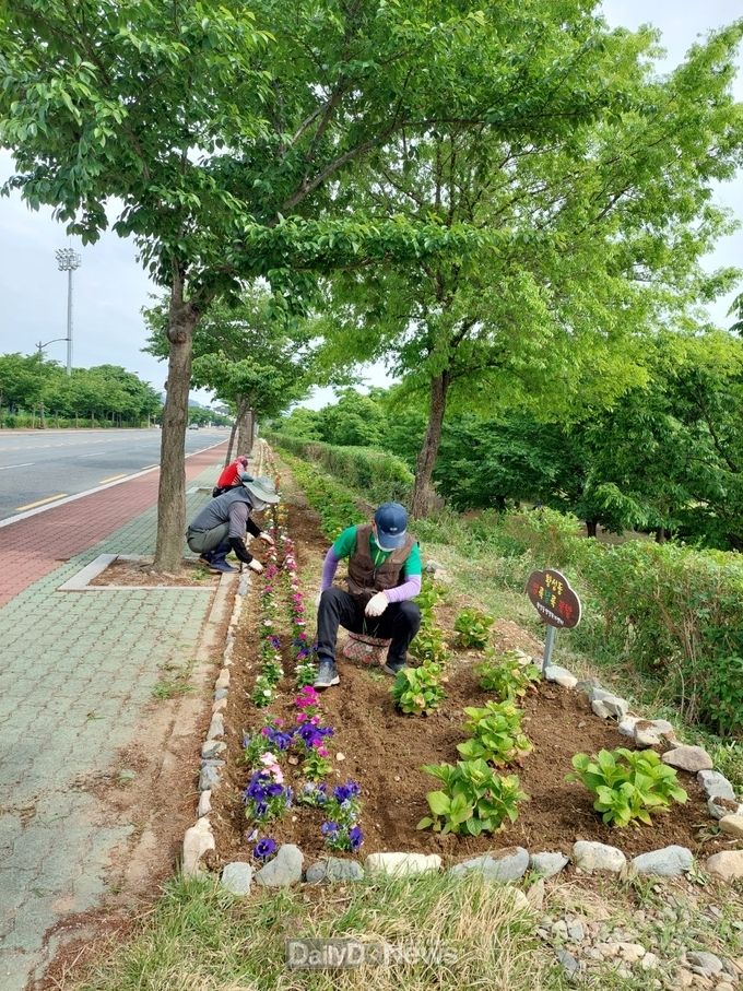 경주시, 2단계 공공근로사업 참여자 모집