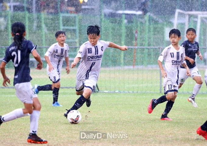 화랑대기 전국 유소년축구대회 19일 간 대장정 마무리