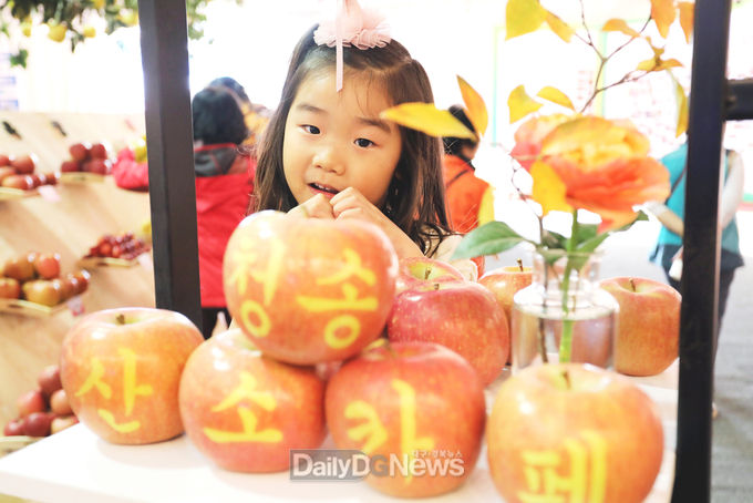 청송군, 제16회 청송사과축제 준비 ‘착착’-2019년 축제 모습