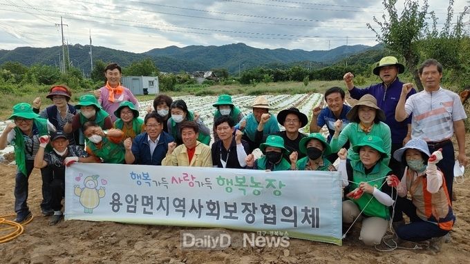 용암면 지역사회보장협의체, 행복농장에서 배추모종 심기 활동 전개