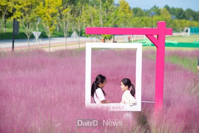 낙동강체육공원핑크뮬리