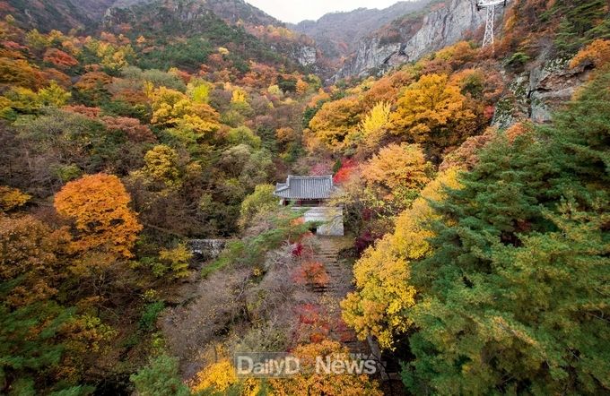 금오산도립공원