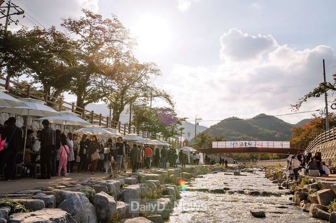 청춘금오천축제