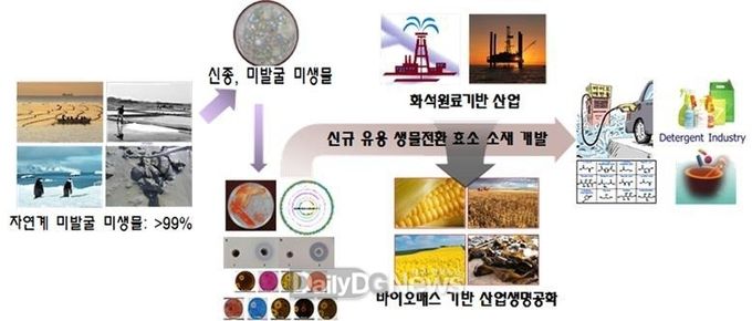 담수생물자원의 조사·발굴 및 소재 발굴 흐름도