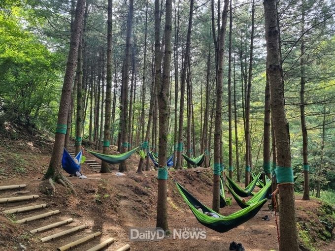 산림치유원, 산불진화 인력 맞춤형 프로그램 ‘불꽃’ 운영