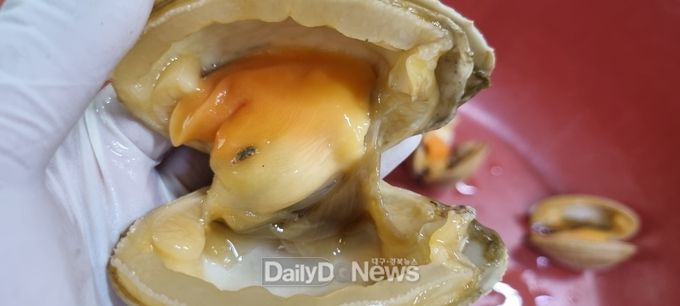 성숙한어미(수)