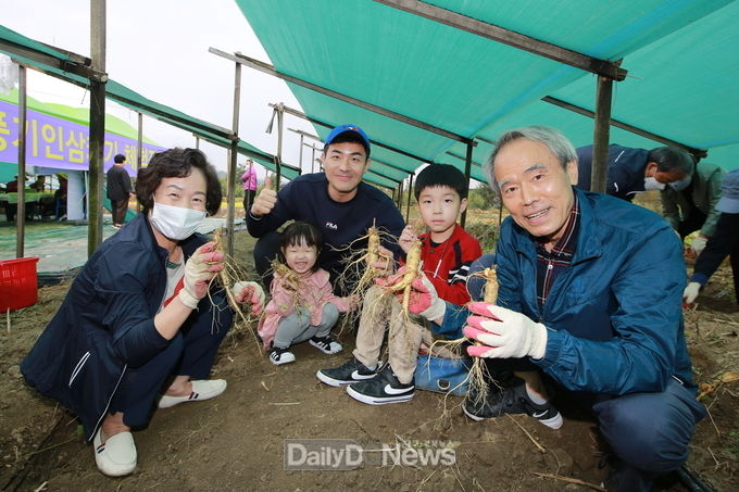  인삼엑스포장 인근에 마련된 인삼캐기 체험장