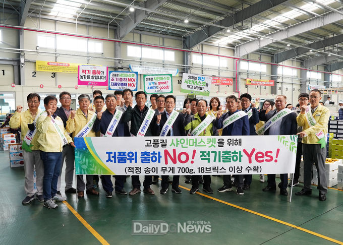 샤인머스켓 품질향상 대책 마련 나서