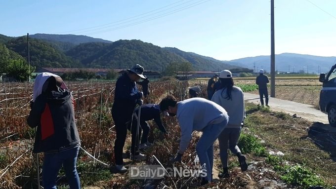 군위군농업기술센터, 가을철 농촌일손돕기